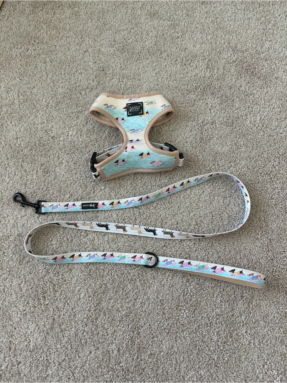 Sassy Woof Harness Leash Bundle - Picture 9 of 16